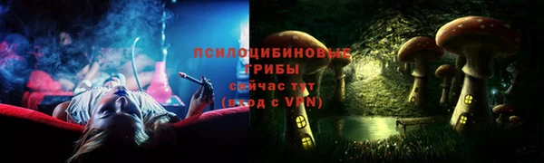 спиды Алексеевка