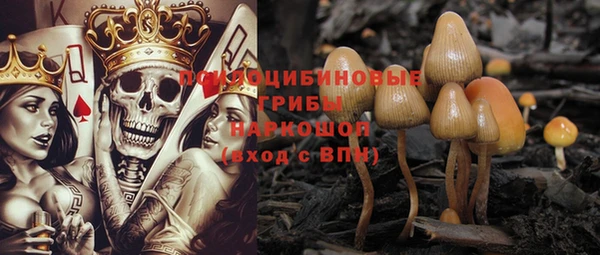 крисы Алзамай