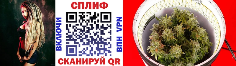 Каннабис конопля  как найти закладки  Феодосия 